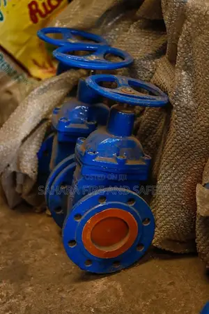 Gate Valve - Brand New