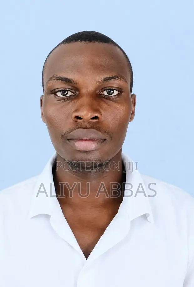 Clerical Administrative CV - Aliyu - 1