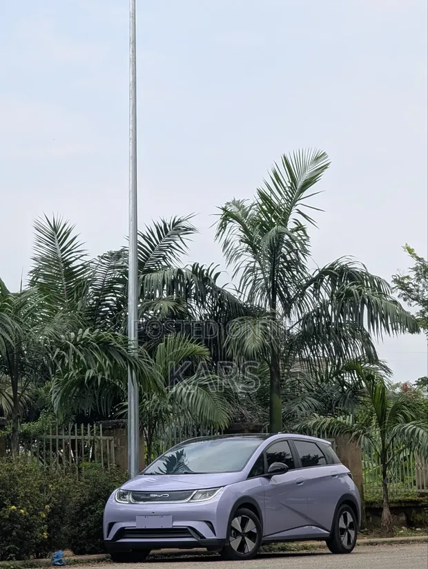 BYD Qin Plus DM-i 2023 Purple - 1