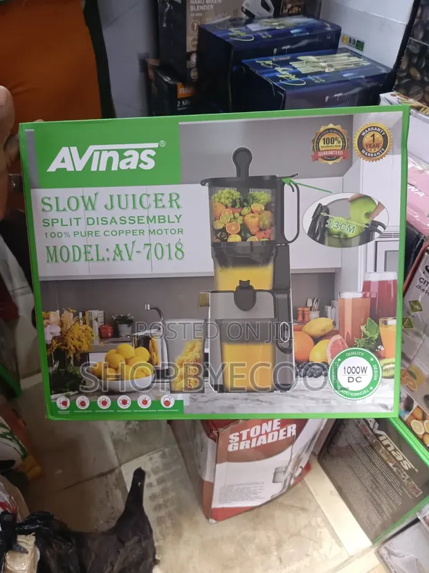 Avinas Whole Slow Juicer - 1