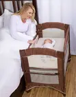 Arm's Reach Mini Arc Co-Sleeper Bassinet - 1