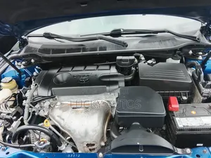 Toyota Camry 2010 Blue