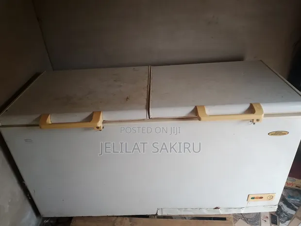 Thermocool Upright Freezer - Used - 1