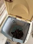 Boscon 7.5kg Front Load Washing Machine - 1