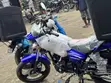 New Qlink XP 200 Motorcycle (2026 Model) - Black - 2