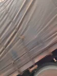Mai Rarraba Siminti na Dangote - Akwatuna 50kg - 1