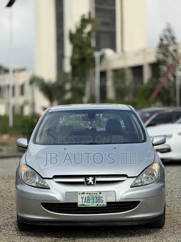 Peugeot 307 2005 Silver - 1