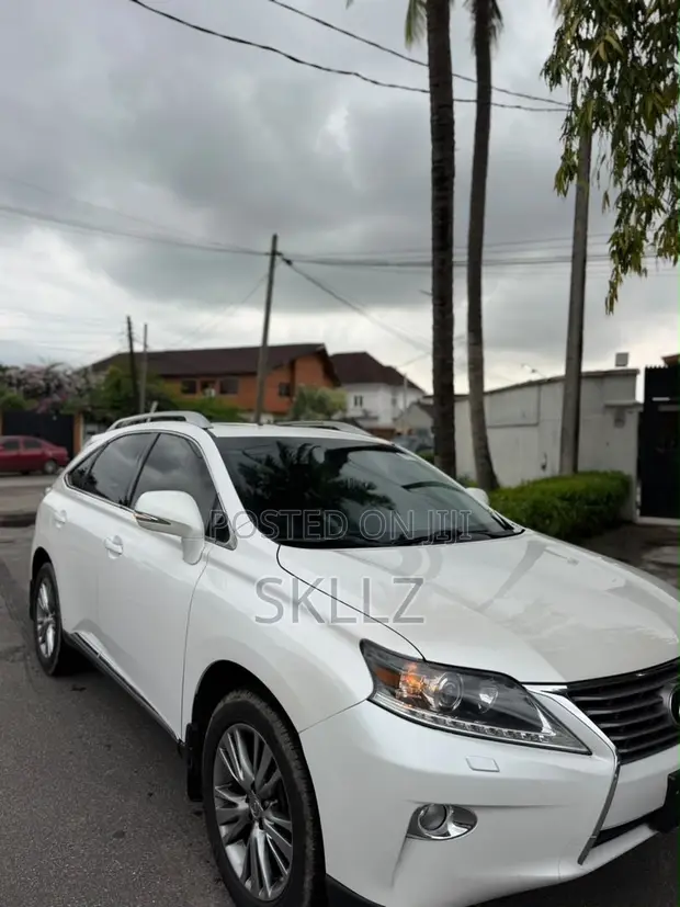 2013 Lexus RX 350 - Cikakken Zabi, Babu Hatsari - 1