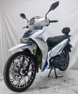 New Super Gallant Blazer 2026 White - 2