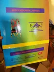 Zion Original Safety Harness - 2