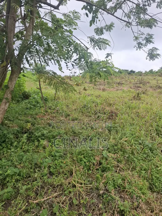 Residential Land with Registered Survey in Ido, Ibadan - 1
