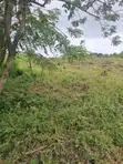 Residential Land with Registered Survey in Ido, Ibadan - 1