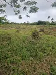 Residential Land with Registered Survey in Ido, Ibadan - 2