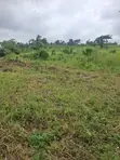 Residential Land with Registered Survey in Ido, Ibadan - 3