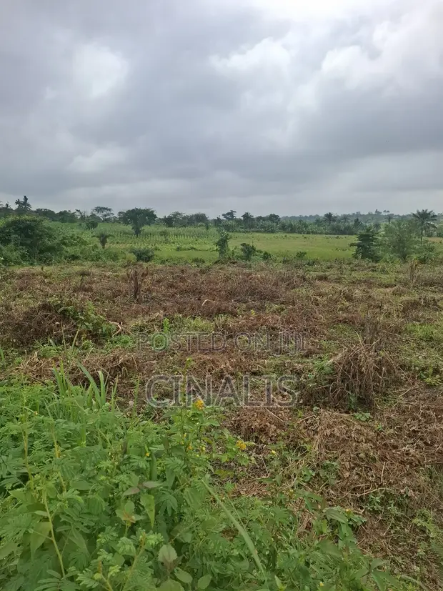 Mixed-Use Land with Deed of Assignment in Ido - 1