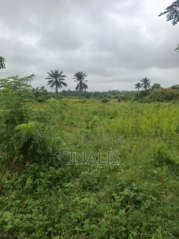 Residential Land with Survey and Deed in Ido - 1