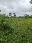 Residential Land with Survey and Deed in Ido - 1