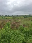Residential Land with Survey and Deed in Ido - 2