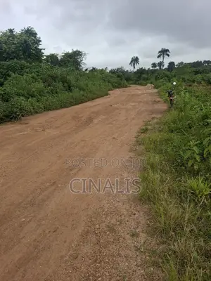Residential Land with Survey and Deed in Ido