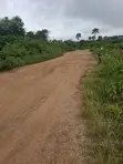 Residential Land with Survey and Deed in Ido - 3