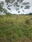 Residential Land with Survey and Deed in Ido - 4