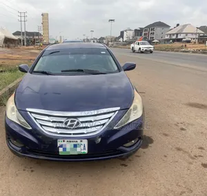 Hyundai Sonata 2010 Blue