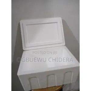 Akwatin Cooler Na Lita 30 Na Foam