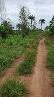 Mixed-Use Land with C of O in Ido - 3