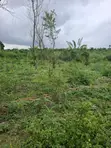 Mixed-Use Land with C of O in Ido - 5