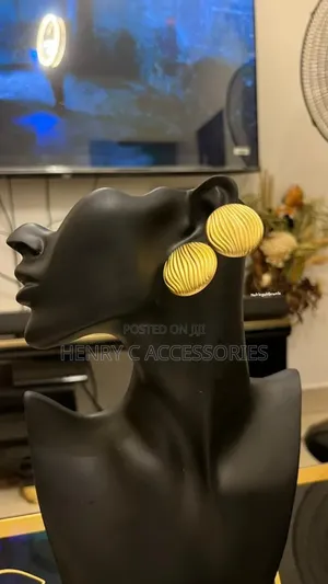 Gold Plated Stainless Steel Hoop Earrings