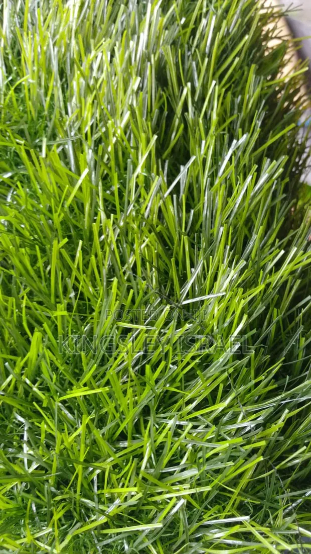 Artificial Grass for Sale - Premium Quality - 1