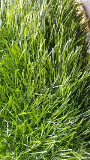 Artificial Grass for Sale - Premium Quality