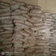 Caustic Soda (Sodium Hydroxide) - 1