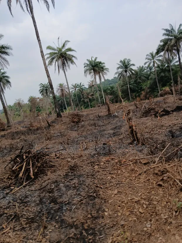 Exclusive Land Groups: 6 Plots / 1 Acre Land for Sale in Sapade, Ogun State - 1