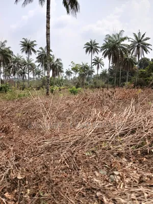 Exclusive Land Groups: 6 Plots / 1 Acre Land for Sale in Sapade, Ogun State