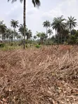 Exclusive Land Groups: 6 Plots / 1 Acre Land for Sale in Sapade, Ogun State - 2