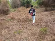 Exclusive Land Groups: 6 Plots / 1 Acre Land for Sale in Sapade, Ogun State - 3