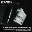 Micronized Creatine Monohydrate Powder 250g - Unflavored - 3