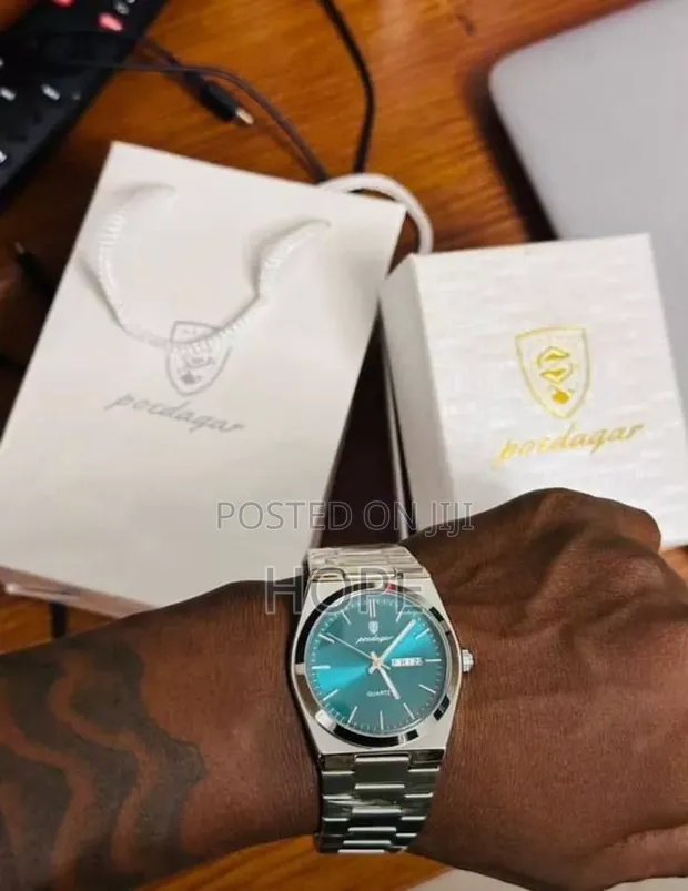 Poedagar Luxury Quartz Watch - Silver/Teal Dial - 1