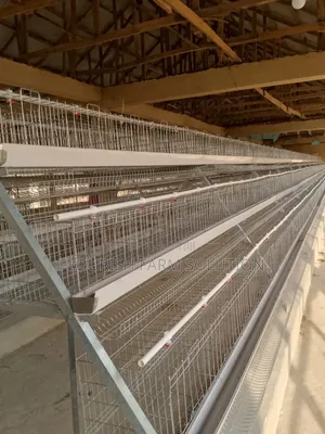 Hope Battery Cage - Zallawo da Na Gida