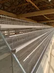 Hope Battery Cage - Zallawo da Na Gida - 1