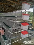Hope Battery Cage - Zallawo da Na Gida - 2