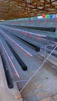 Survivor Poultry Services 4-Tier Battery Cage (160 Capacity) - 1