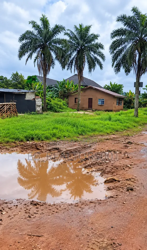 100x200ft Commercial Land for Sale, Siluko Road - 1