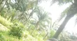 30 Plots of Land for Sale in Owaza, Asa Area - 2