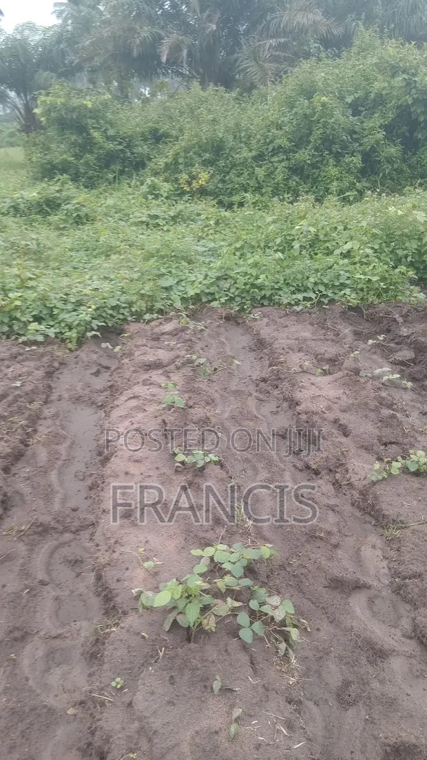 Nathyk Agricultural Consultant Farmland for Sale, Osogbo - 1