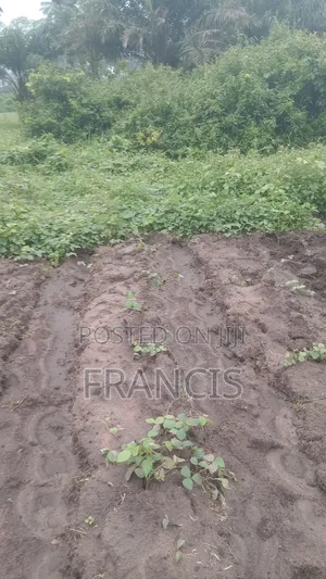Nathyk Agricultural Consultant Filin Noma don Siyarwa, Osogbo
