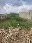 Mixed-Use Land for Sale in Korootun, Ota, Ogun State - 3