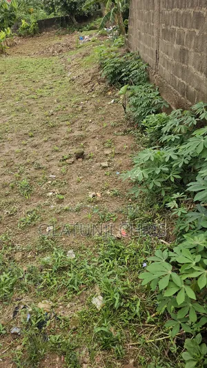 Filin Dadi don Siyarwa a Ipaja Command, Lagos