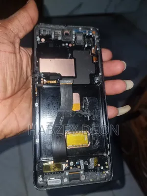 Samsung S21 Ultra AMOLED Screen